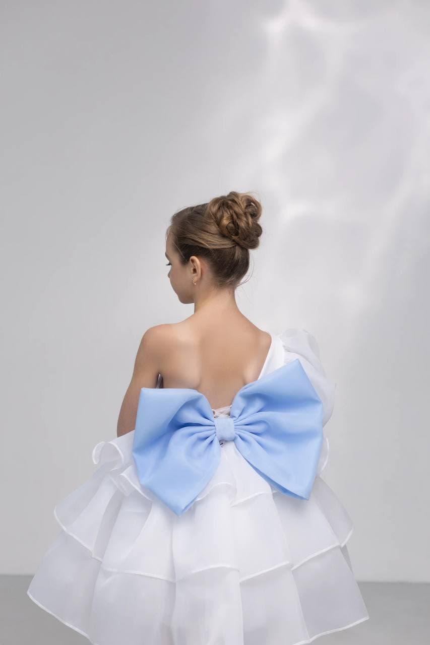 Сукня "Емілі"