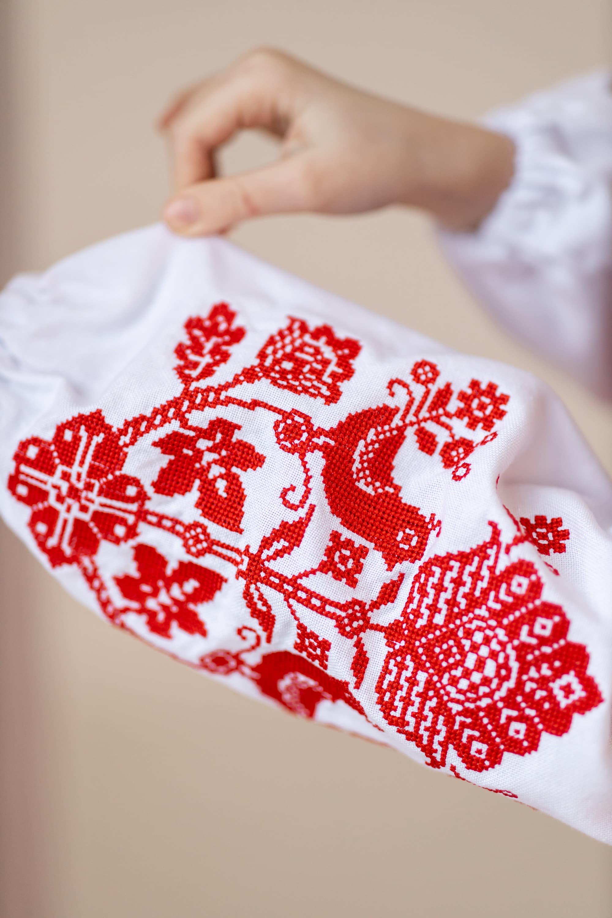 Сукня вишита "Птахи"