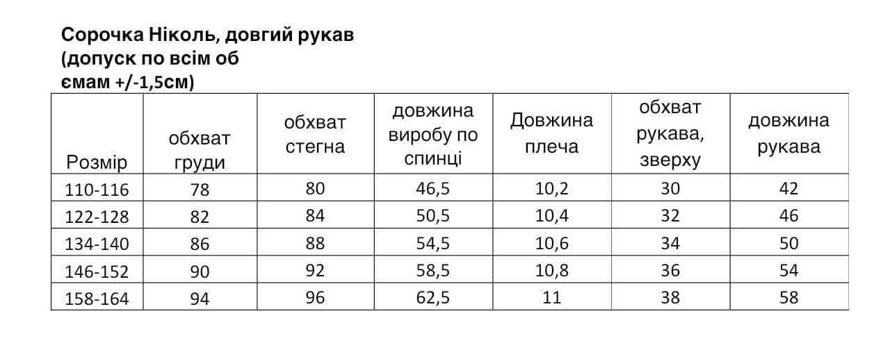 Сорочка "Ніколь" довгий рукав